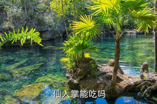 食用仙人掌,仙人掌可食用嗎?