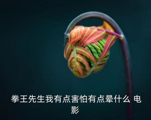 拳王電影,李少皇電影主角追夢遇愛情故事