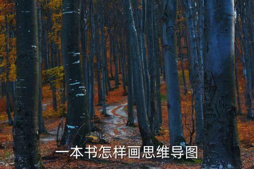 一本書的思維導(dǎo)圖，如何閱讀一本書 思維導(dǎo)圖讀書筆記