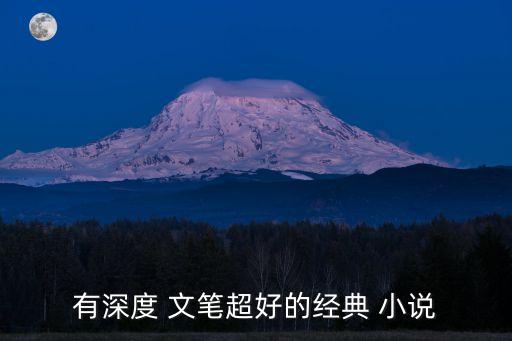 文筆好的小說,第二部:第一集:女主是顏值與實力巔峰的巔峰