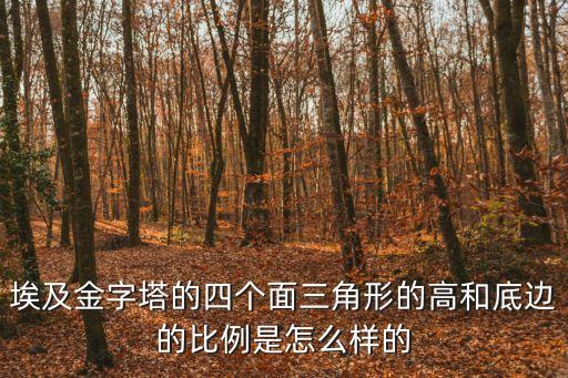 埃及金字塔的四個面三角形的高和底邊的比例是怎么樣的