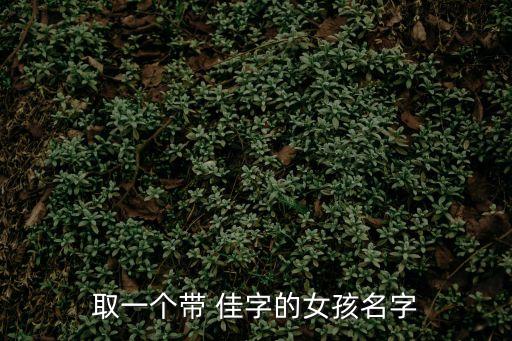 取一個(gè)帶 佳字的女孩名字