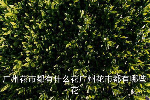 廣州花市都有什么花廣州花市都有哪些花