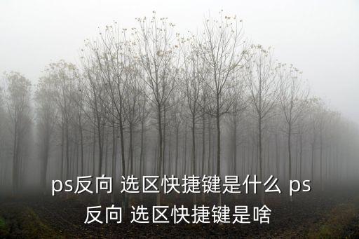  ps反向 選區(qū)快捷鍵是什么 ps反向 選區(qū)快捷鍵是啥