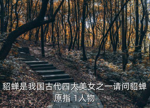 貂蟬是我國古代四大美女之一請問貂蟬原指 1人物
