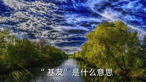 “ 基友”是什么意思