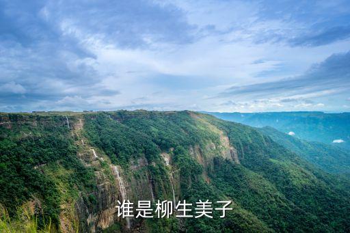 柳生美子，鐵血使命的柳生美子是誰
