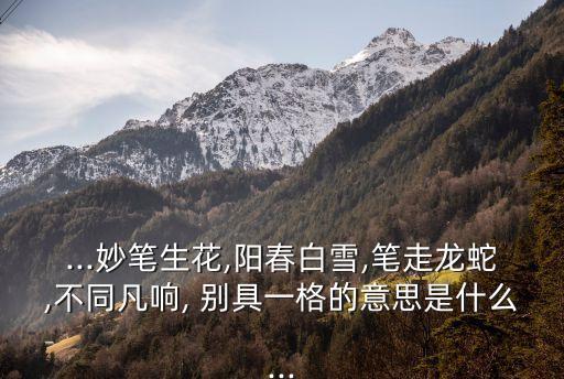 ...妙筆生花,陽春白雪,筆走龍蛇,不同凡響, 別具一格的意思是什么...