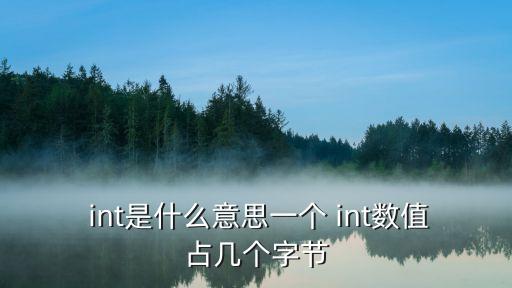  int是什么意思一個 int數值占幾個字節
