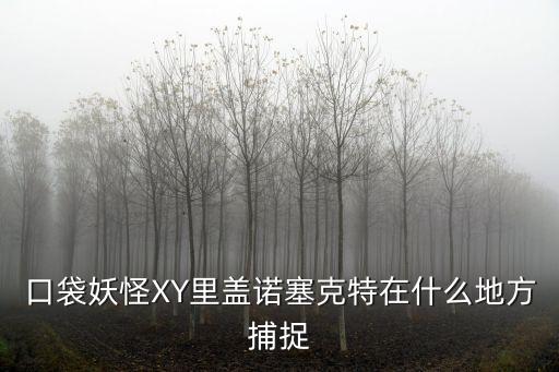 口袋妖怪XY里蓋諾塞克特在什么地方捕捉