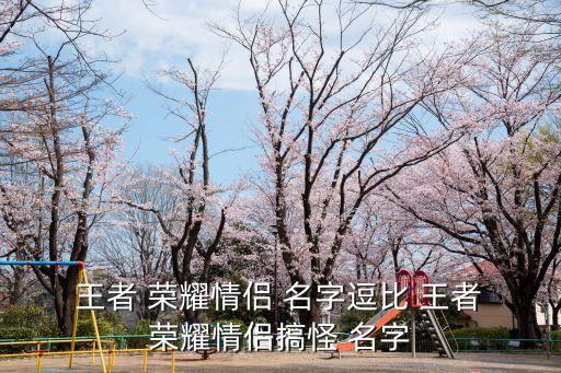  王者 榮耀情侶 名字逗比 王者 榮耀情侶搞怪 名字