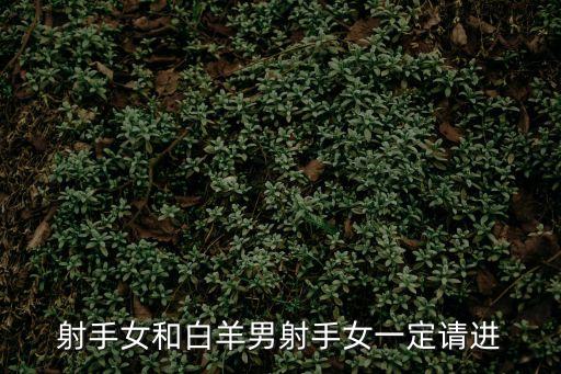 射手女白羊男，白羊男和射手女