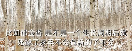 比如郁金香 是不是一個生長周期后就死掉了來年不會有新的了不會