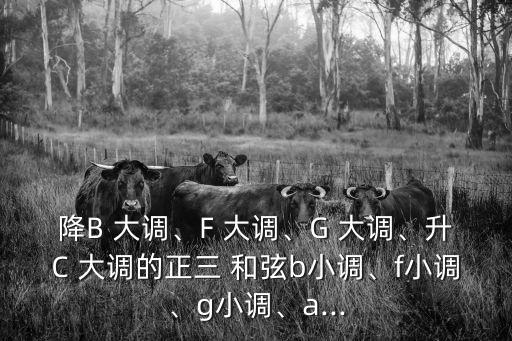 降B 大調、F 大調、G 大調、升C 大調的正三 和弦b小調、f小調、g小調、a...