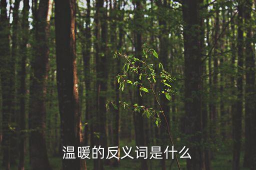 溫暖的反義詞是什么