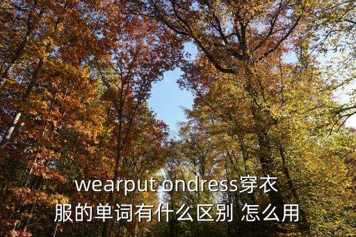wearput ondress穿衣服的單詞有什么區別 怎么用