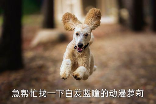 急幫忙找一下白發(fā)藍瞳的動漫蘿莉