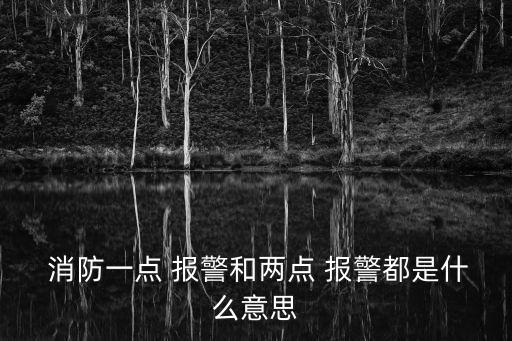  消防一點 報警和兩點 報警都是什么意思