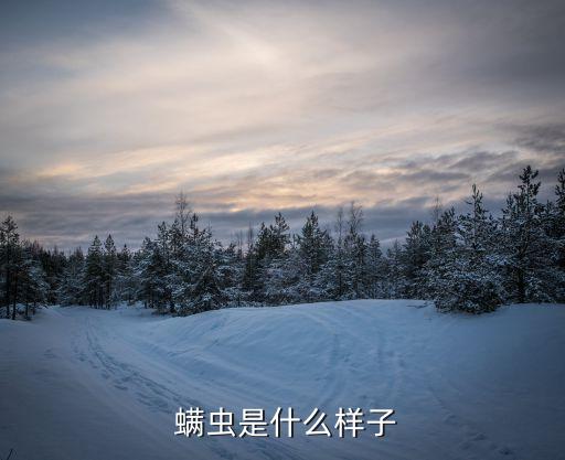 螨蟲過敏癥狀圖片,嬰幼兒皮膚過敏可用消毒液和殺螨蟲劑治療
