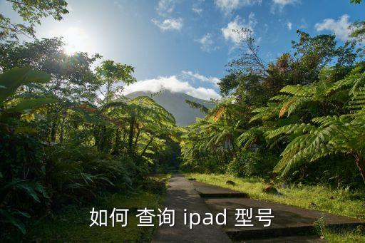 ipad型號查詢,怎么查看我的ipad型號?