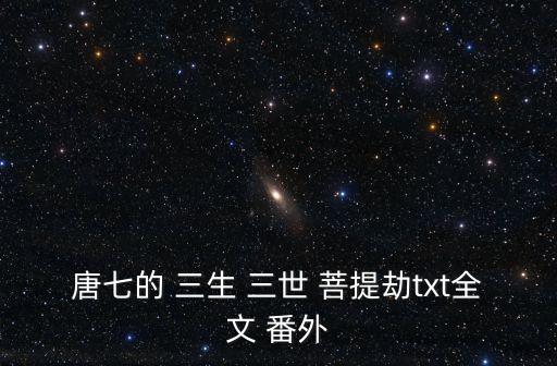 唐七的 三生 三世 菩提劫txt全文 番外