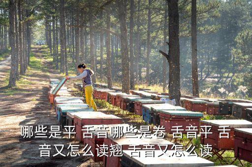 平舌音和翹舌音有哪些,一文讀懂!舌尖音，舌尖發音有何特色?