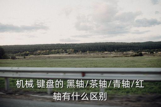 機械 鍵盤的 黑軸/茶軸/青軸/紅軸有什么區別