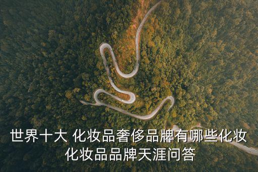世界十大 化妝品奢侈品牌有哪些化妝 化妝品品牌天涯問答