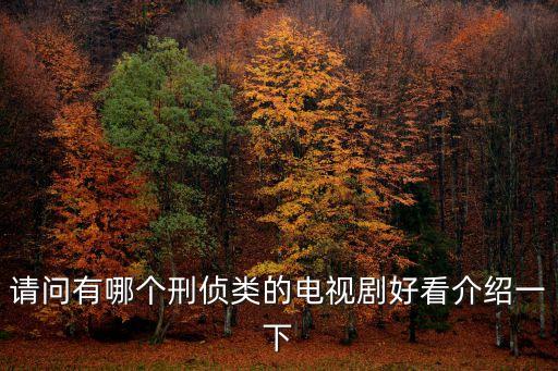 犯罪電視劇大全，請問有哪個刑偵類的電視劇好看介紹一下