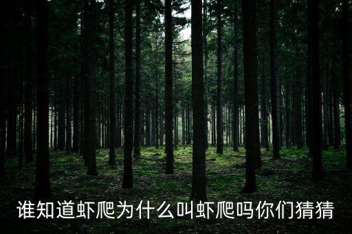 誰(shuí)知道蝦爬為什么叫蝦爬嗎你們猜猜