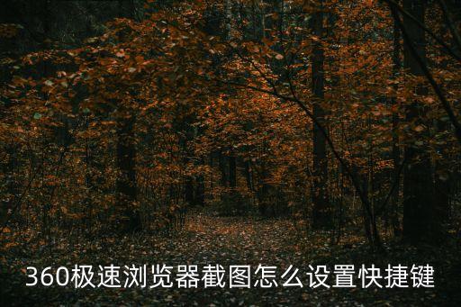 360瀏覽器截圖快捷鍵，360極速瀏覽器截圖怎么設(shè)置快捷鍵