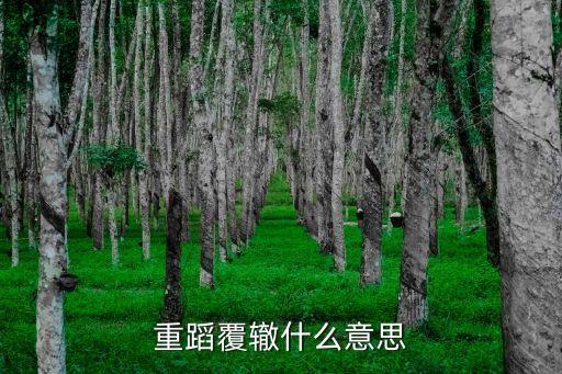 重蹈覆轍什么意思