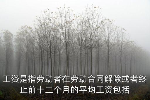 工資是指勞動者在勞動合同解除或者終止前十二個月的平均工資包括