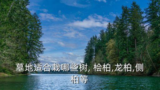 墓地適合栽哪些樹, 檜柏,龍柏,側柏等