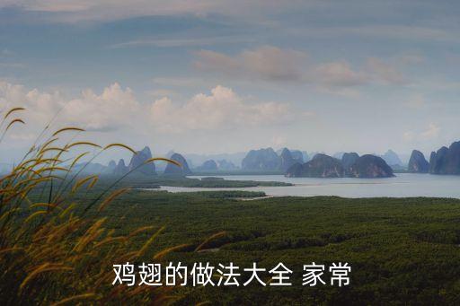燉雞翅的家常做法,火鍋雞翅怎么做?