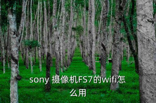 sony 攝像機FS7的wifi怎么用