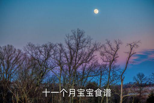 十一個月寶寶食譜，十一個月寶寶食譜