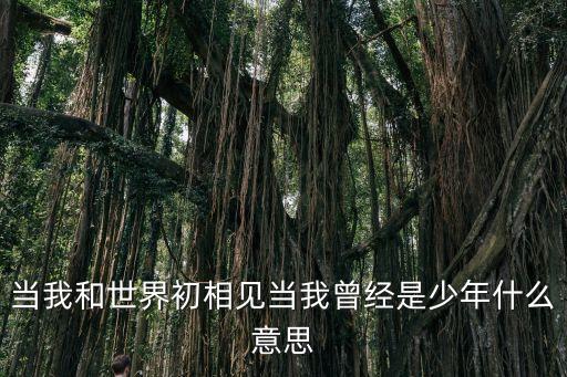 曾是少年，在舞臺上唱SHE的你曾是少年配什么動作和手勢比較有感染力