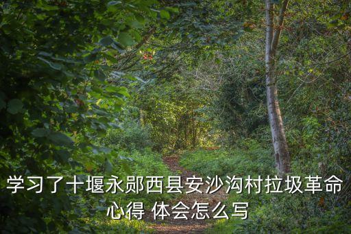 學習了十堰永鄖西縣安沙溝村拉圾革命 心得 體會怎么寫