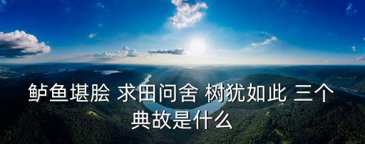 求田問舍的典故，求田問舍怕應(yīng)羞見劉郎才氣的典故