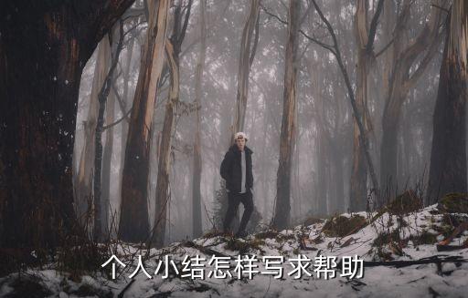 個人小結怎樣寫求幫助