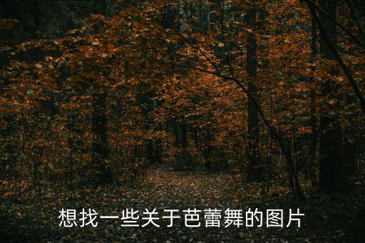 想找一些關(guān)于芭蕾舞的圖片