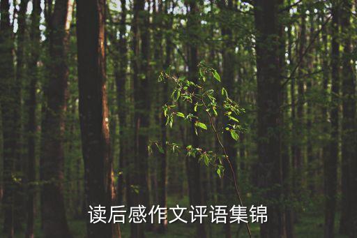 讀后感評語，讀后感評語怎么寫