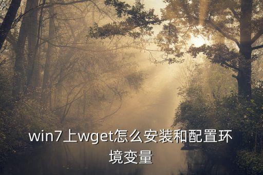 wget安裝，win7上wget怎么安裝和配置環(huán)境變量