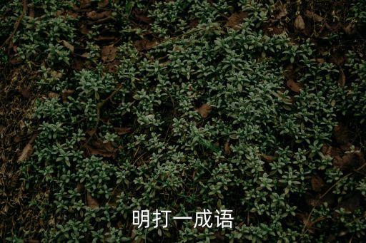 明打一成語
