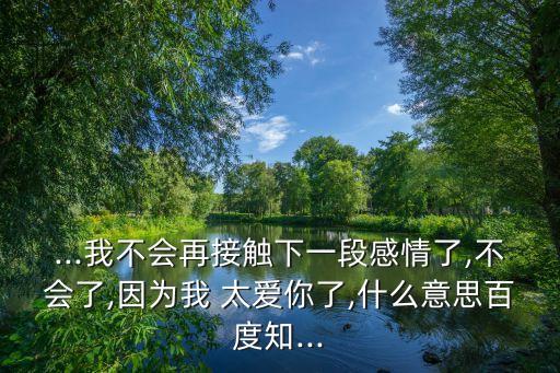 ...我不會再接觸下一段感情了,不會了,因為我 太愛你了,什么意思百度知...