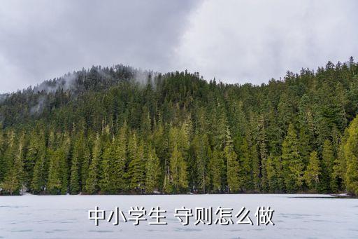 中小學生守則,中小學生守則指的是什么?