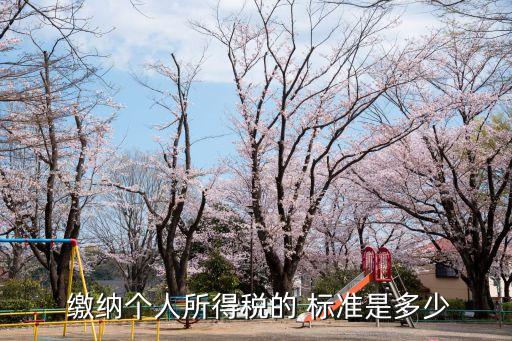  繳納個人所得稅的 標準是多少