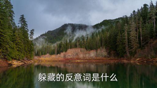 躲藏的反意詞是什么