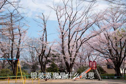 銀裝素裹是什么意思